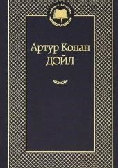Бразильский кот