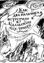Как два мальчика встретили в Хедальском лесу троллей