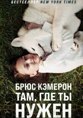 Там, где ты нужен