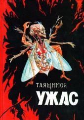 С наступлением темноты