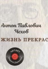 Жизнь прекрасна