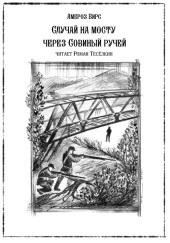 Случай на мосту через Совиный ручей